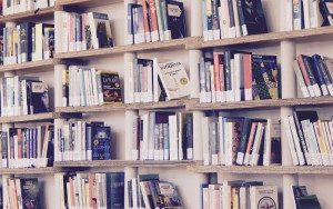 BUFDIRs Nettbibliotek